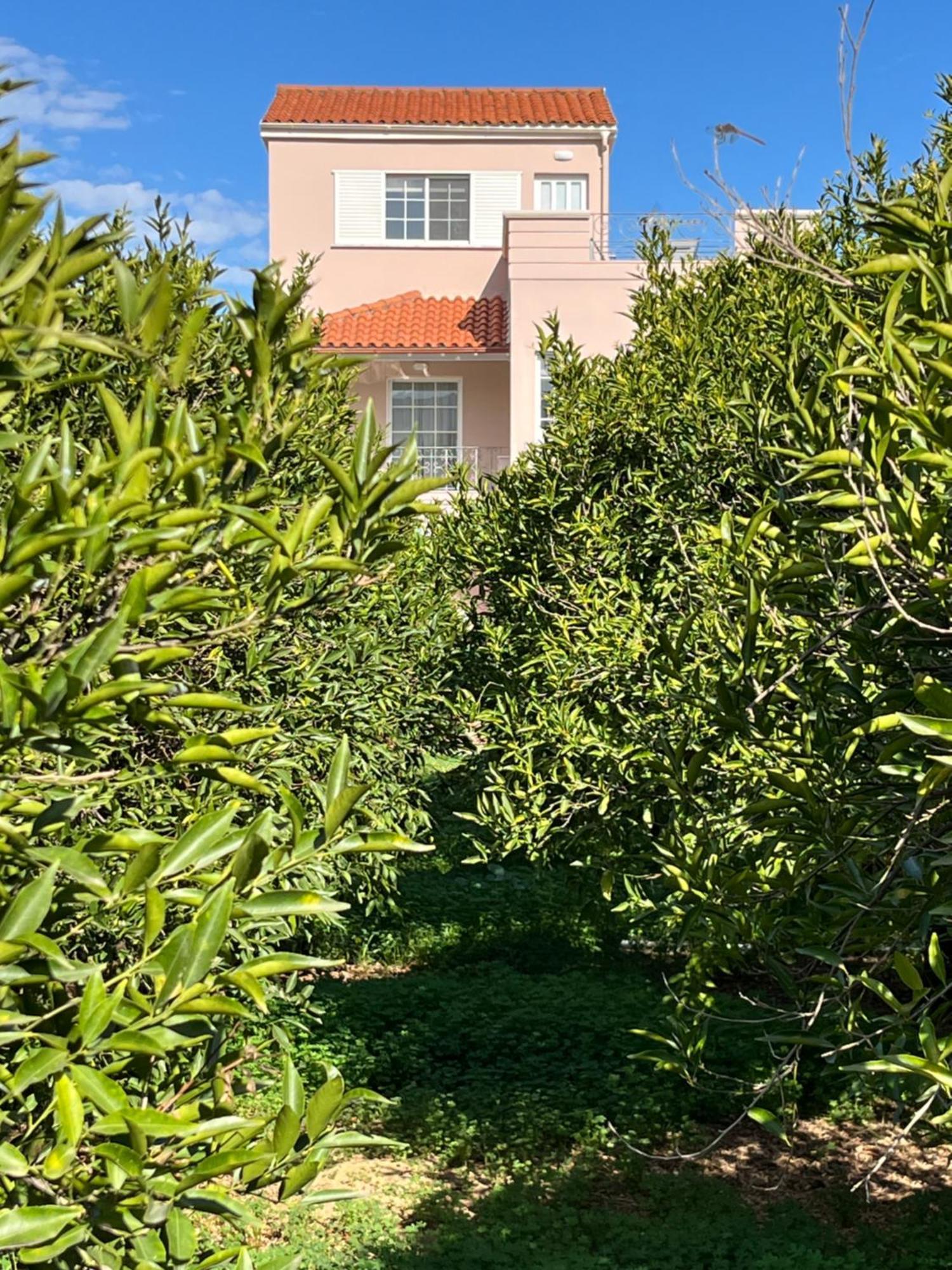 Appartement Verano Retreat *